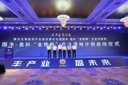 绿色通道审核加速，揭秘企业高效通关秘诀