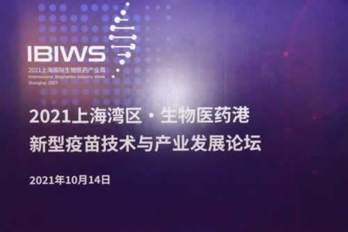 网站客服回应注单未回传，教你轻松维权攻略！