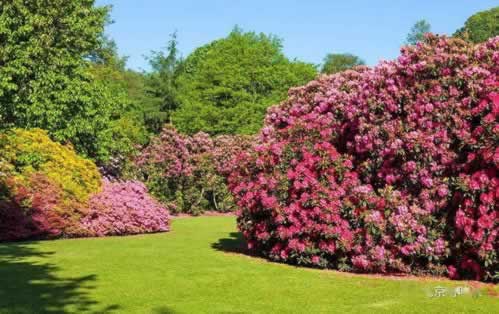 【紧急提醒】平台取款通道维护，你的资金安全如何保障？