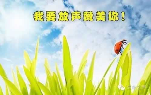 网黑何时能消除：揭开网络黑暗面的神秘面纱