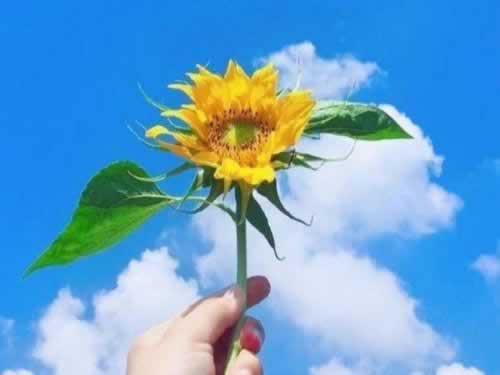 云闪付取款教程 云闪付取款教程