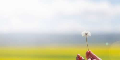 系统审核提不了款怎么办？揭秘常见问题及应对策略，别让资金陷入困境！