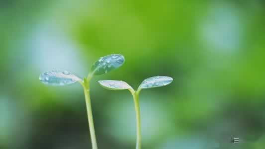 平台提款注单异常风控，如何应对这棘手问题？