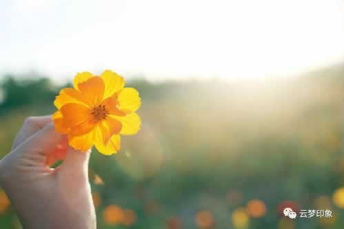 【紧急!】网站提款不到账?揭秘解决方法,助你轻松找回资金! 【紧急!】网站提款不到账?揭秘解决方法,助你轻松找回资金!