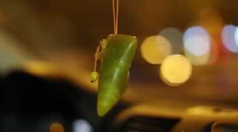 资金被黑无法提款到账?揭秘5大解决方法,让你的资金安全无忧! 资金被黑无法提款到账?揭秘5大解决方法,让你的资金安全无忧!