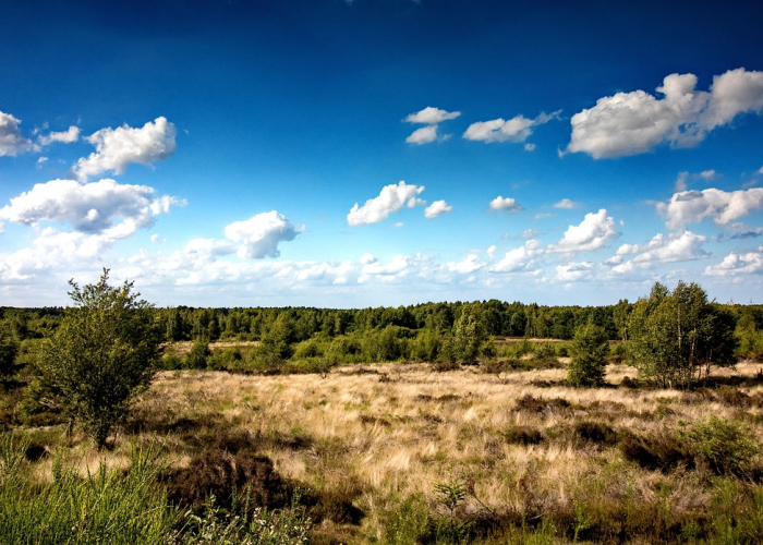 两例阳性与三十处轨迹：香河防疫网格中的微光，城市韧性的温度计