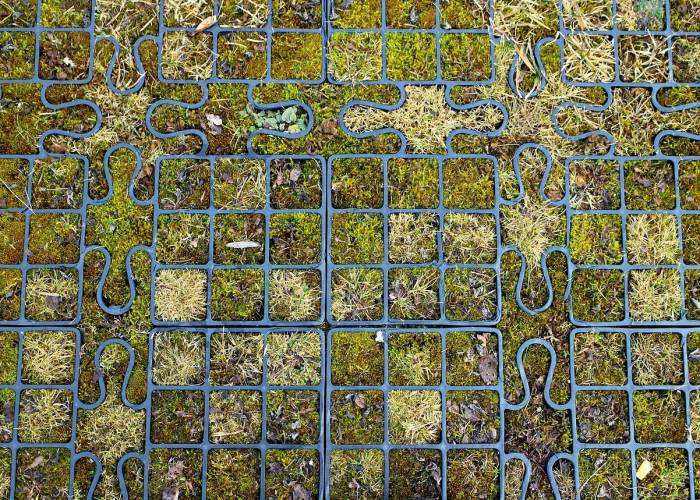 （科学预测背后的全民努力与未来启示），今冬疫情有望3月初结束