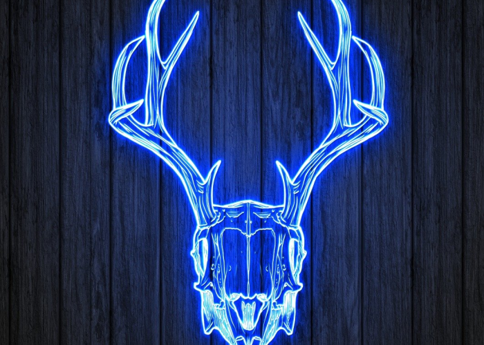 数字之外的坚韧与温度,新疆新增8例确诊背后