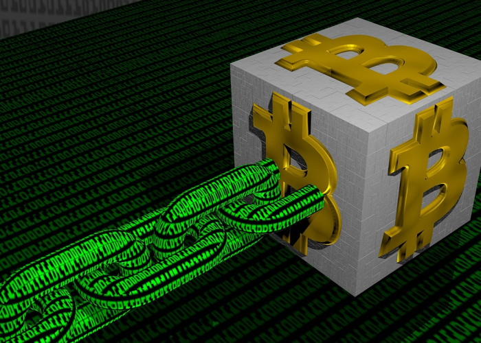 3例确诊与一座城的呼吸：常态化防控下的温度，疫情长河中的微光