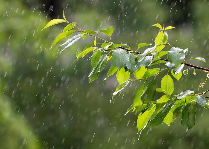 精准防控下的城市脉动与全民坚守,宝鸡疫情最新情况