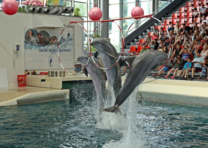 344例确诊背后的归途者：一座东北小城的38天疫情漂流记