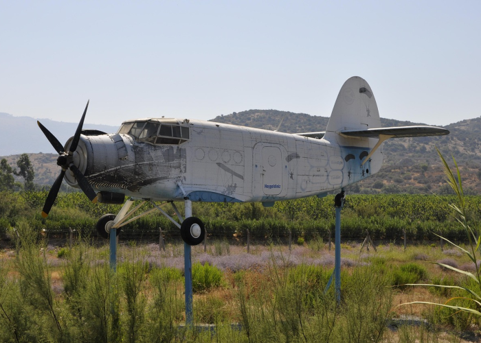 [一座城市的坚韧与温度],数字背后,上海新增本土1015例