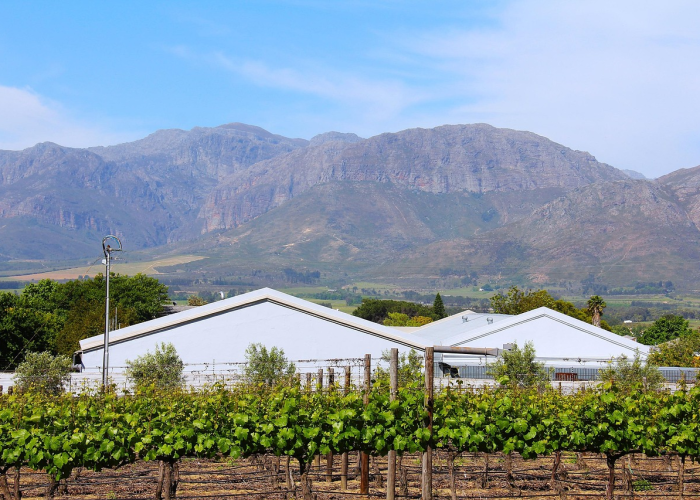 数字背后是十四亿人的共同呼吸；新疆新增22例