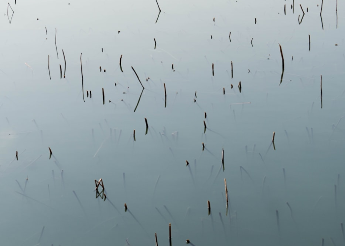 韵达疫情链致82人感染，物流线上的生命守望，城市毛细血管的韧性考验