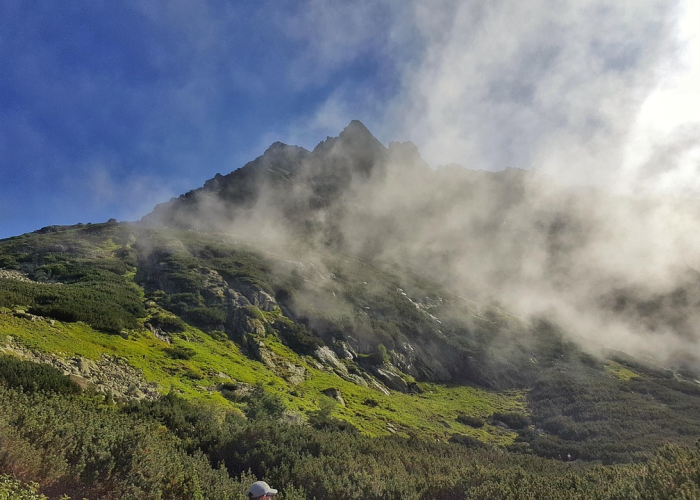 精准绣花背后的城市韧性密码,《上海防疫新策》 8