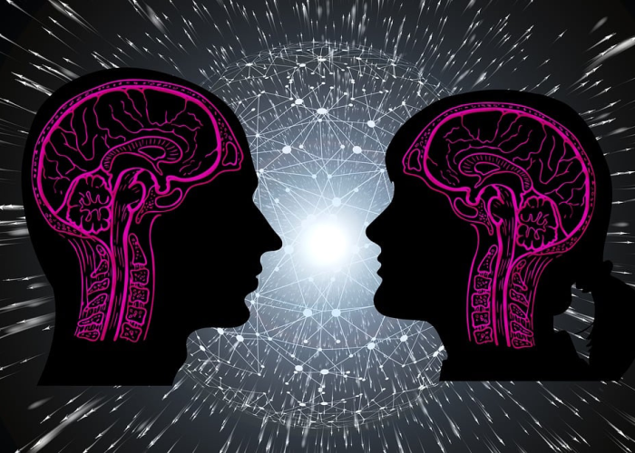 广东新增11例本土确诊：一座城市的“免疫应答”与千万生命的微光守护