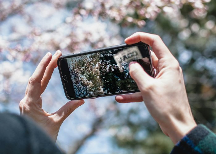 C 数字背后的防控逻辑与生活韧性,【新疆新增无症状240例】