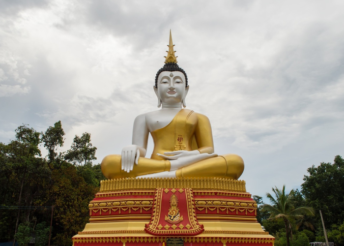 韵达2月6日停运的“休止符”，一条物流动脉的暂时冻结与万家期待的重新校准