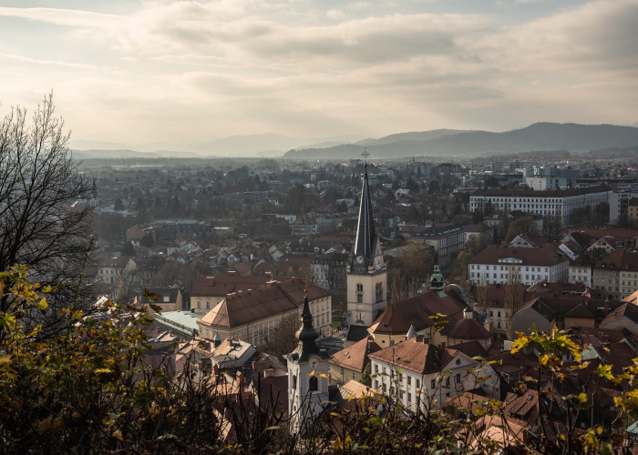 朝阳一例初筛阳性的清晨：微光中的城市免疫系统