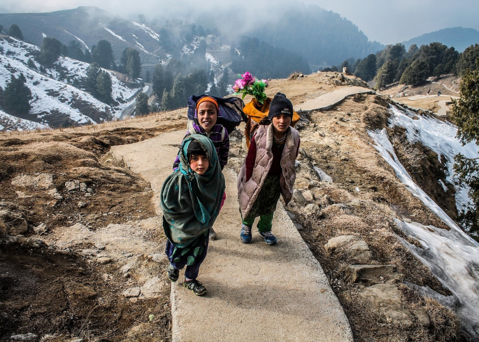 四日两万例：平凡个体的沉默坚守与一座国家的免疫天平