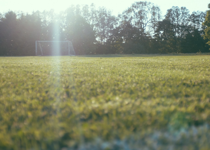 60例新增背后的生命刻度，中原大地的免疫系统正在被淬炼，一部公共卫生应急管理的活教材缓缓展开
