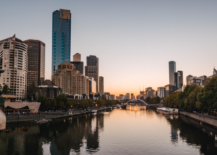 161例隐性链条：免疫系统的暗流与一座城市的静默应答