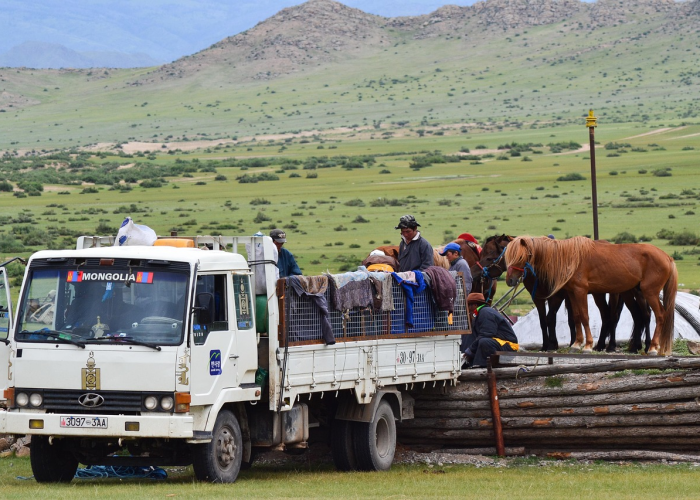 太原疫情低流行下的城市韧性，以41%绿化覆盖率编织的公共卫生安全网