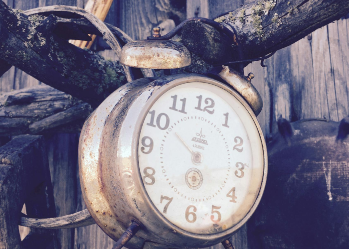 2月中旬呼吸道传染病预测上升，疫情迷雾中的人性坚守与社会免疫系统