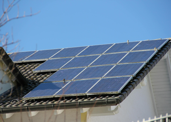 一条冷冻鳕鱼背后的全球供应链警示，西安疫情源头水落石出