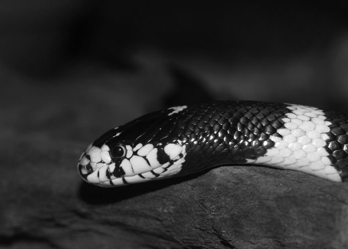 常态化防控下如何筑牢隐形长城¿，[本土12例警示]，31省新增22例确诊背后 60