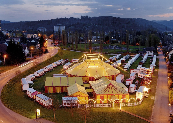 9位数字的旅程：佳吉快运单号背后的等待经济学与国脉神经