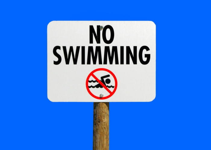 509.7亿产值的生命与经济双螺旋：一座北方港口的新质生产力浪潮