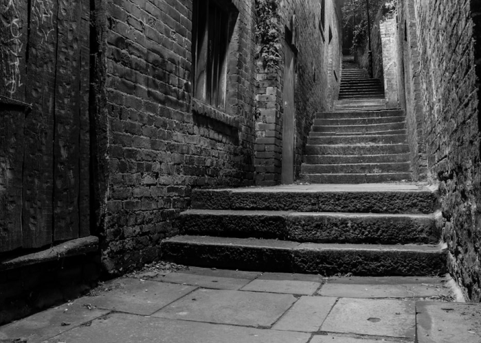 《数据背后的社会韧性密码》；新冠感染调查