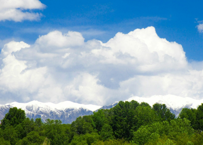 海淀区36例新增背后的城市脉搏：一座科技新城在疫情迷雾中寻找生命节律的集体叙事