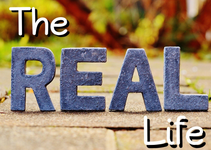 城市脉动中的规则与温度、天津限号2023年2月