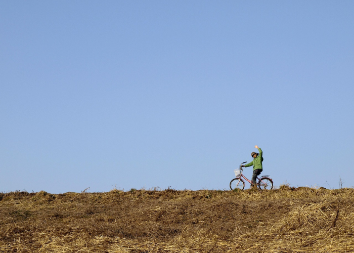 十四亿种生活；一张地图；全国疫情高峰感染进度