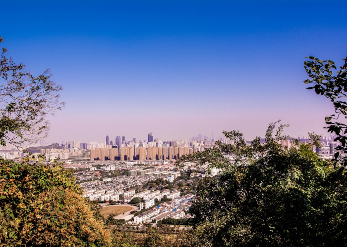 疫情下的全球图景与人类共同体的未来，当数字跨过300万