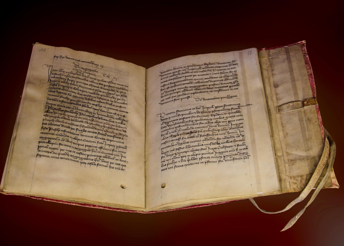 【静默中的坚守与复苏的脉搏】,费县今日疫情 90