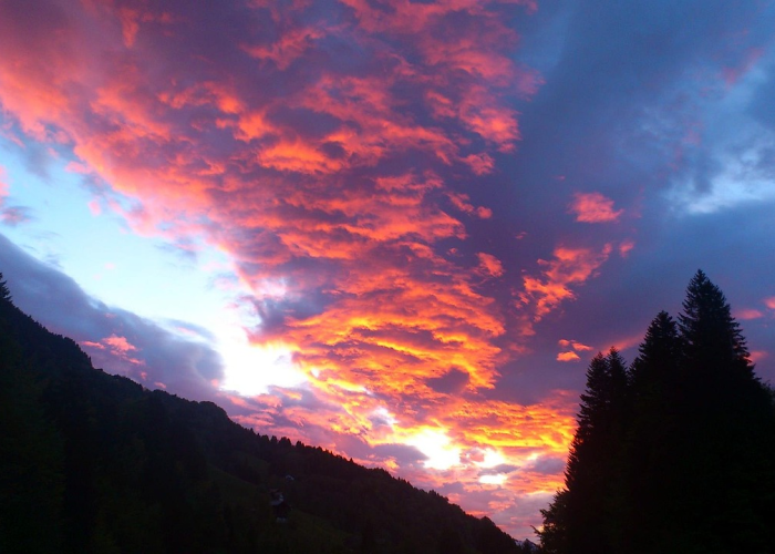 54例新增背后的城市免疫系统，个体轨迹与公共安全的脆弱平衡，一座城的呼吸与屏息