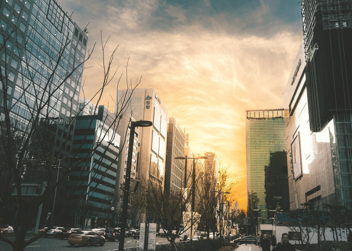 《在未知中寻找确定性？》、我们如何从历史中汲取教训、全球第二轮疫情已拉开序幕