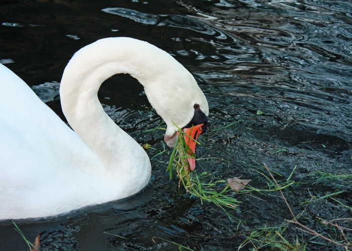 5例确诊背后的生命网：一次人类学观察