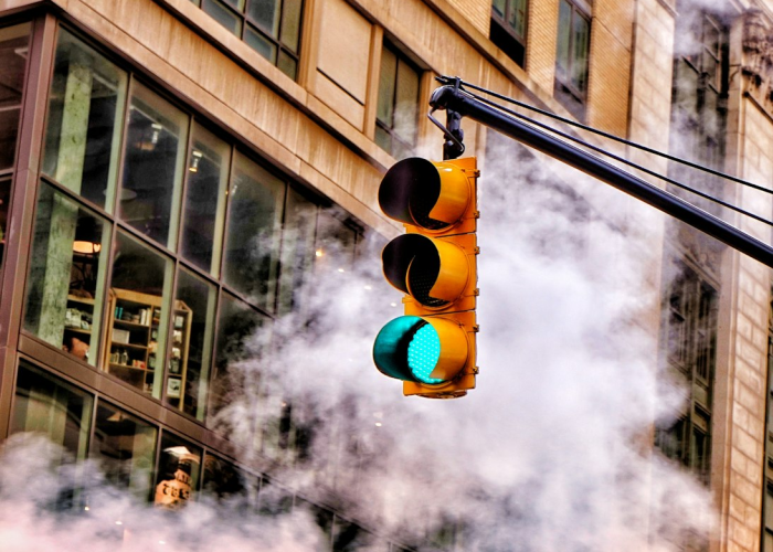 当海鲜市场不再是唯一答案、湛江疫情源头之谜