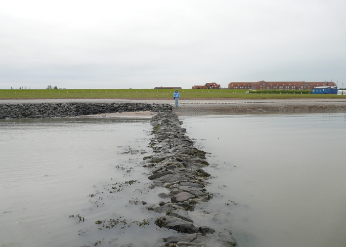 18例新增确诊背后的社会图景：微光汇聚的守望，与一座城市的温度