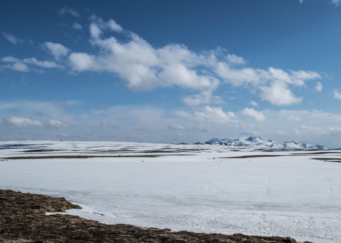 三例境外输入的警示：个体健康与城市免疫的“微缩宇宙”