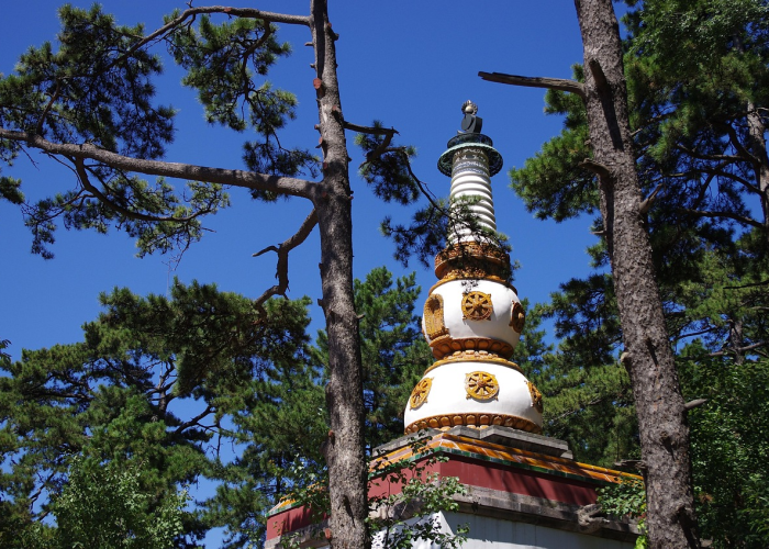 精准防控下的城市温度与治理智慧、乌鲁木齐疫情防控新政策