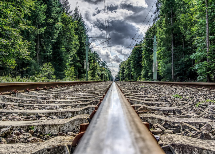 无声的警报与全社会的考题,本土发现34例变异株 Q