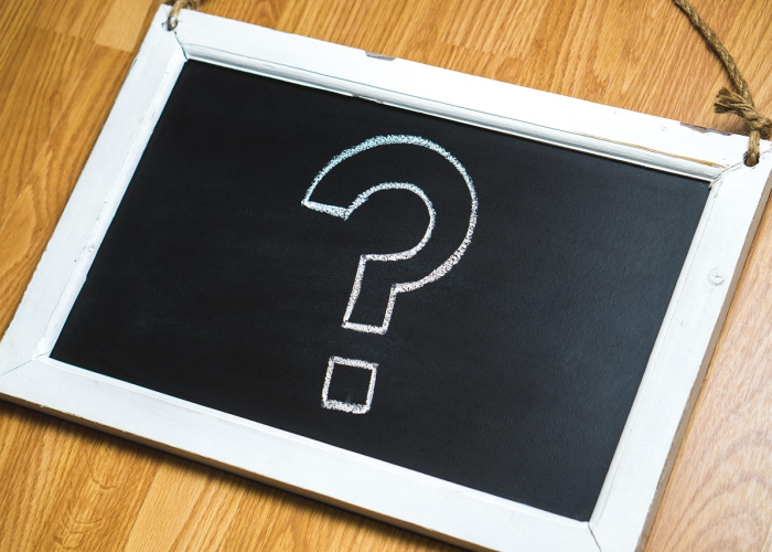 人类听到了什么？，当一只鸟在数据云端鸣叫时，云雀游戏