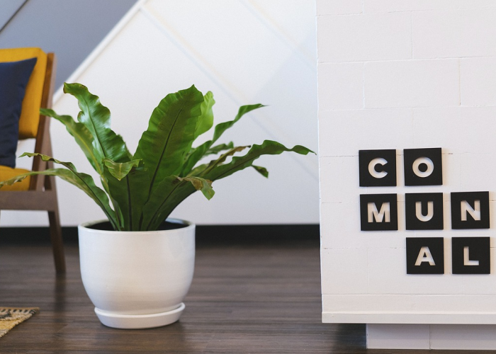 数字背后的全民抗疫密码，{31省新增本土确诊50例} 42