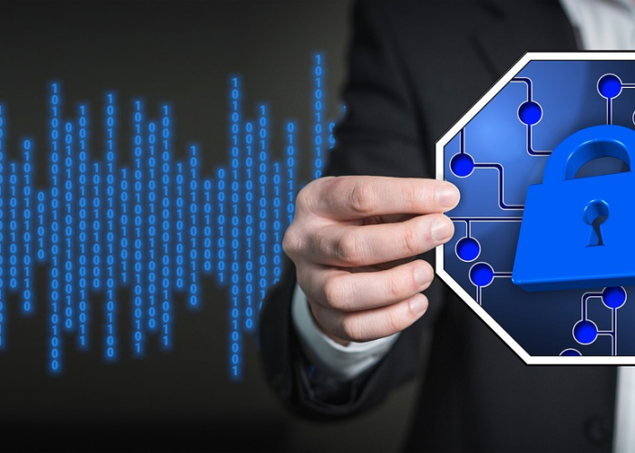 2022年春节快递“不打烊”：万家灯火下的物流脉搏与时代镜像