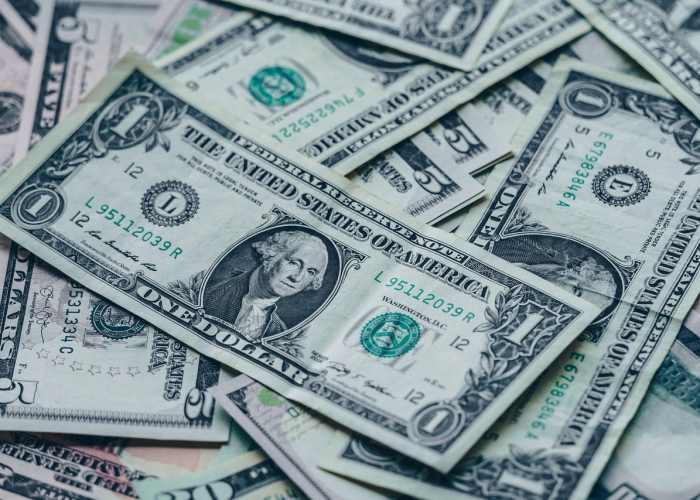 茂名基孔肯雅热防线与13家受罚单位，一场盛夏的蚊媒阻击战与城市免疫系统升级